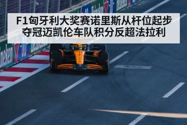 Lando Norris McLaren